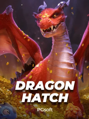 popkkk dragon hatch